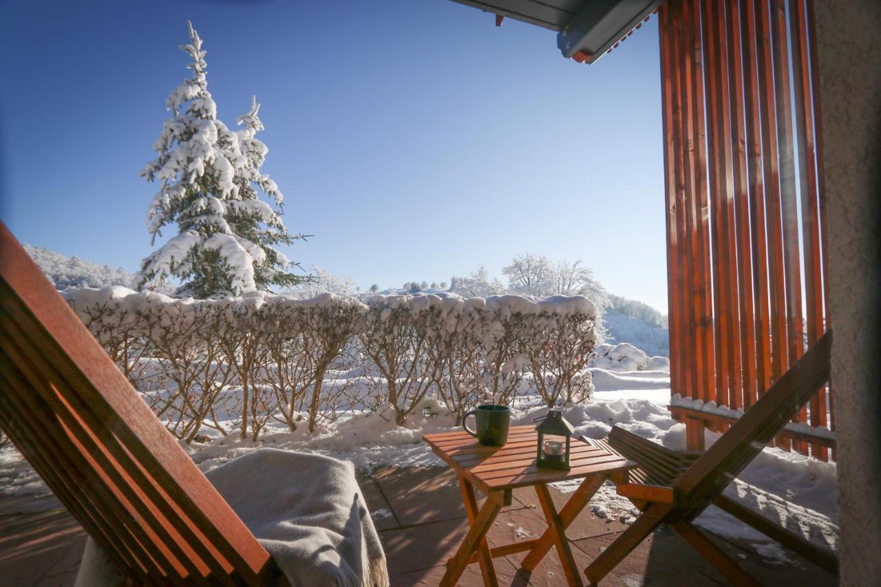 Harz Bnb Werkmeister Sankt Andreasberg Zewnętrze zdjęcie