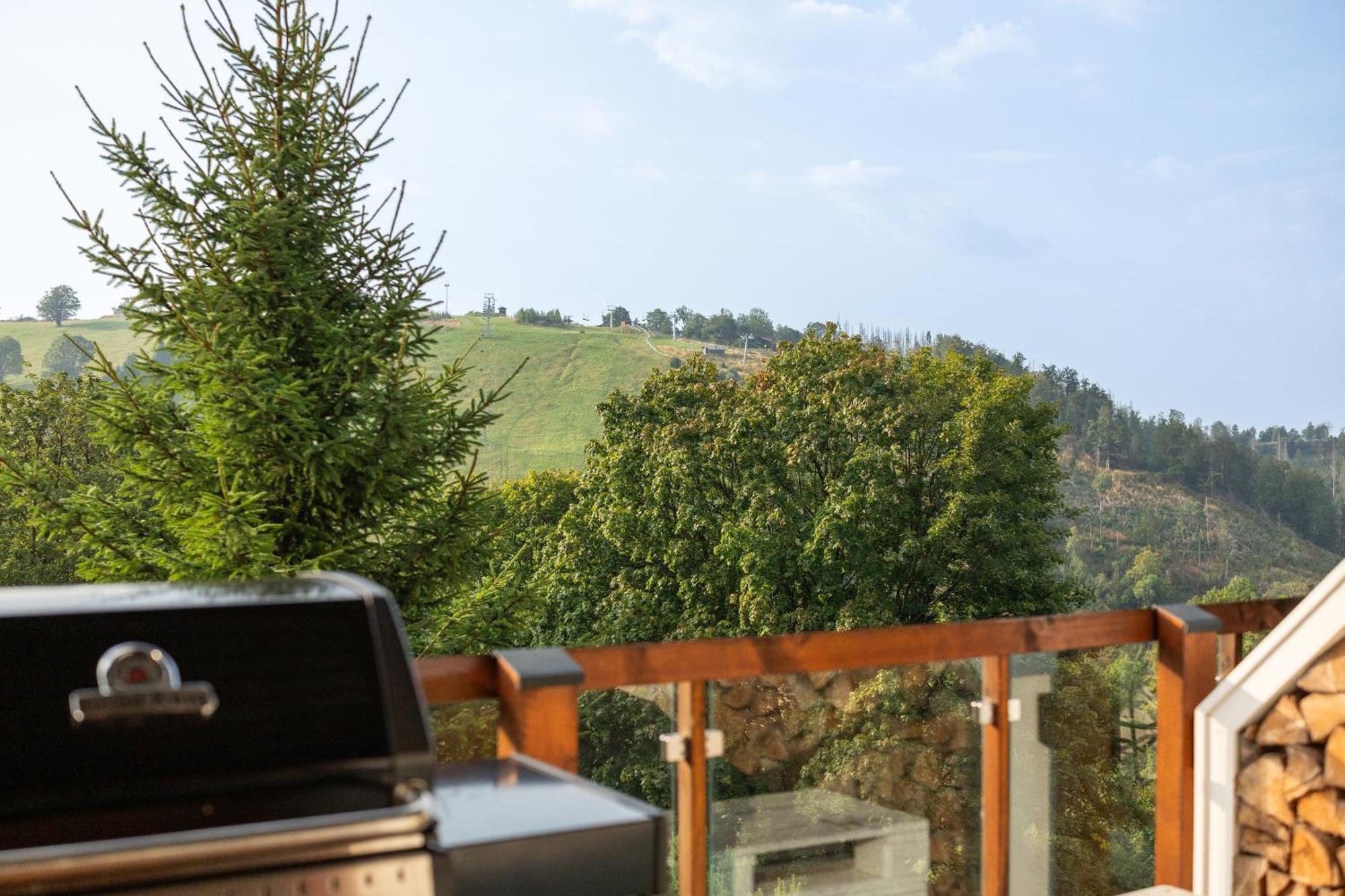Harz Bnb Werkmeister Sankt Andreasberg Zewnętrze zdjęcie